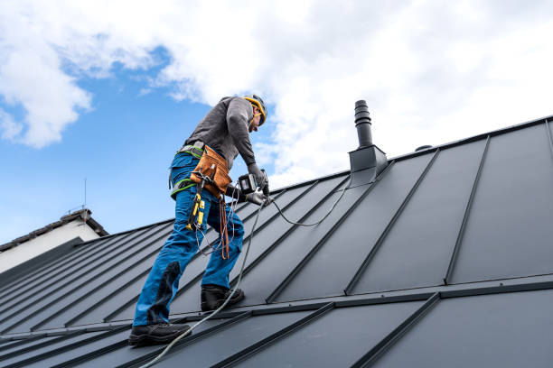 Best Skylight Installation and Repair  in New Plymouth, ID